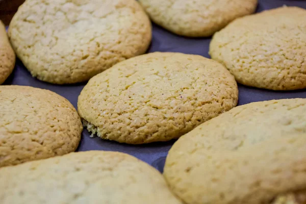 Свіжоспечене домашнє вівсяне печиво, свіжоспечене на випічці на папері для випічки . — стокове фото