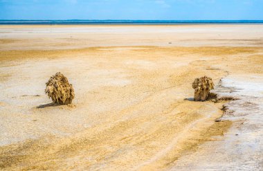 Sandy coastline of the salty lake Baskunchak. Lifeless hot terrain without vegetation and animals. clipart