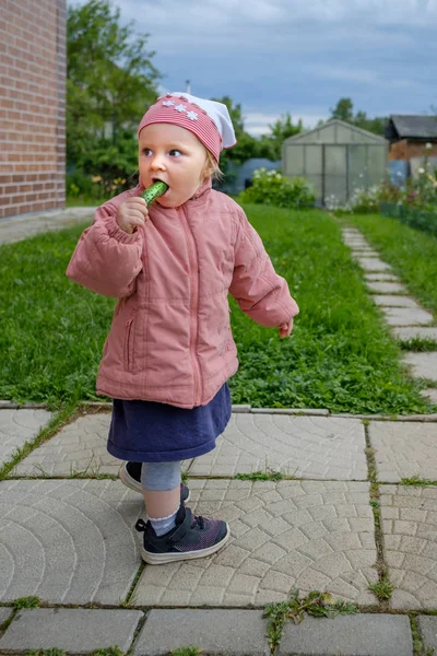 Little blonde girl in a pink jacket standing outdoors eats a cucumber. — Stock Photo, Image