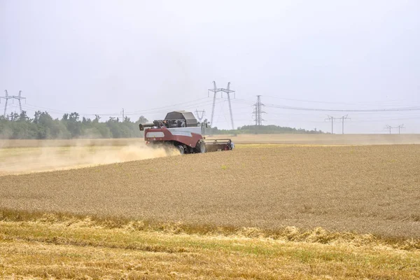 Colheitadeira em clubes de poeira no trabalho sobre a colheita de trigo em um enorme campo no verão. Assim, o nascimento do pão ocorre . — Fotografia de Stock