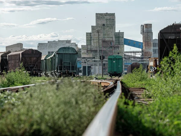 Ferrocarriles que se extienden a la distancia de los vagones de carga. En el fondo hay edificios industriales. Día soleado de verano . — Foto de Stock