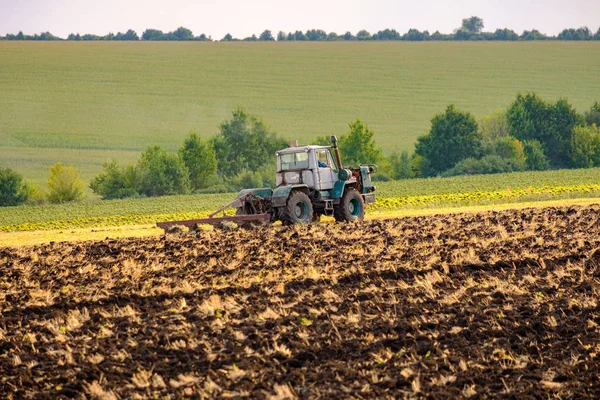 Un tractor agrícola arada un campo con un arado después de cosechar trigo en los rayos del sol de la noche . —  Fotos de Stock