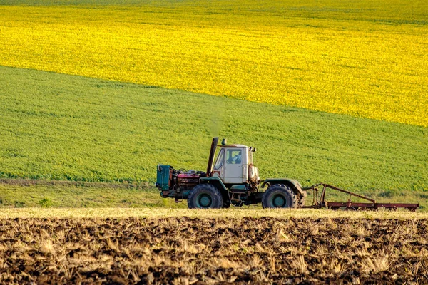Um trator agrícola arado um campo com um arado após o trigo colhido. No fundo são campos de girassóis . — Fotografia de Stock