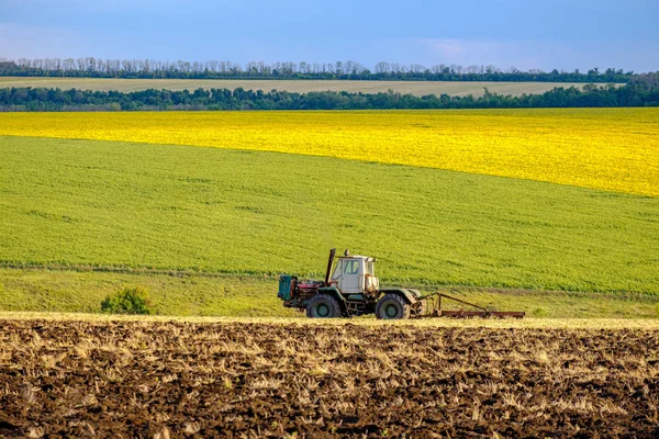 Um trator agrícola arado um campo com um arado após o trigo colhido. No fundo são campos de girassóis . — Fotografia de Stock