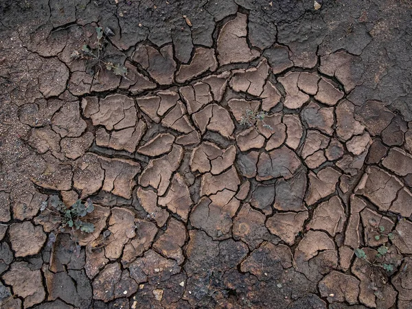 由干土裂缝形成的天然马赛克。死亡的大自然背景和纹理. — 图库照片