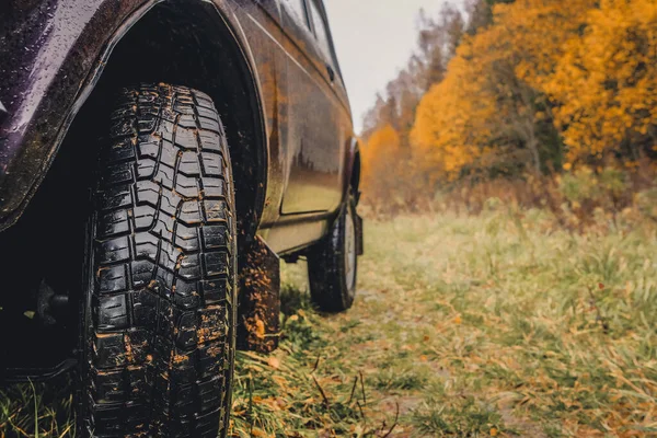 Ruedas de un SUV sobre hierba húmeda y descolorida en el borde de un bosque en el interior ruso en un día nublado de otoño . — Foto de Stock