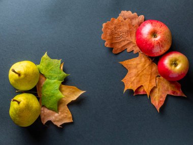 Kırmızı elmalar, sarı armutlar ve koyu gri arka planda renkli sonbahar yaprakları. Metin için boşluk olan üst görünüm.