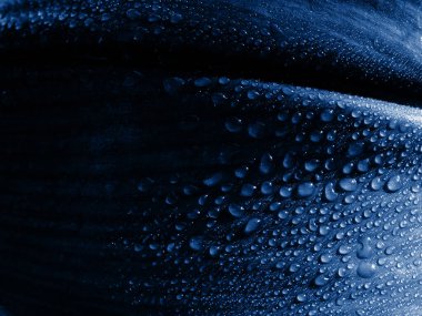 Büyük bir yaprağın üzerinde büyük, parlak, şeffaf bir su damlası. Üzerlerine düşen güneş ışığı damlaları parlıyor. Yaprak dokusuyla soyut bir arka plan. Moda rengi. Klasik mavi.