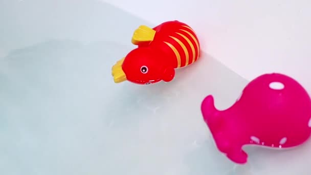 Piros Gumi Csikóhal Polip Lengett Tiszta Víz Felszínén Fürdőszobában Játékok — Stock videók