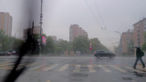 Moscow Russia June 2020 View Pedestrian Crossing Which Person Umbrella — Stock Video