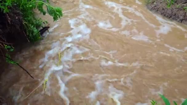 Stürmischer Strom Schlammigen Schlammigen Wassers Mit Lehm Schäumendes Wasser Wirbelt — Stockvideo