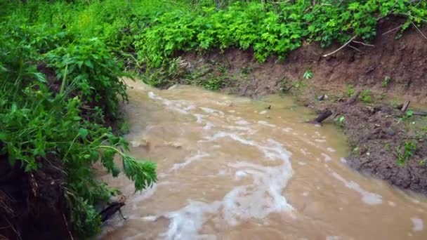 Stormachtige Stroom Modderig Modderig Water Met Klei Schuimend Water Kolkt — Stockvideo