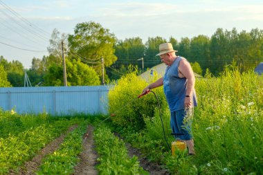Şapkalı yaşlı bir adam patatesin üstüne böcek ilacı sıkar.. 