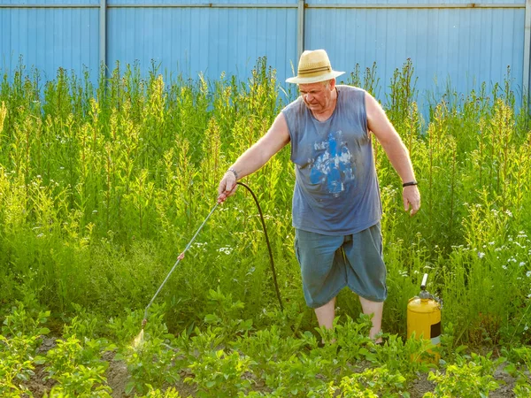 Seorang pria tua dengan topi menyemprotkan insektisida di atas kentang. — Stok Foto