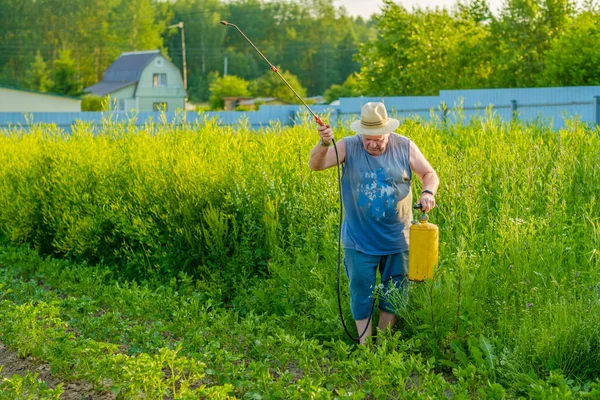 Seorang pria tua dengan topi menyemprotkan insektisida di atas kentang. — Stok Foto
