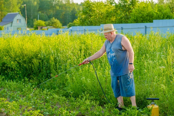 Um homem idoso de chapéu pulveriza um inseticida nos topos das batatas . — Fotografia de Stock