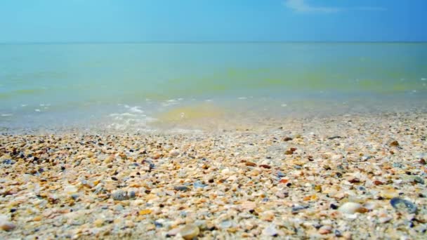 Enfoque selectivo en las olas del mar lavando la salvaje y desierta playa de arena. — Vídeos de Stock