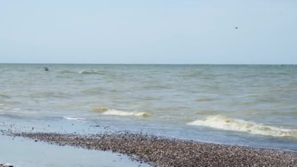 Selectieve focus op de golven van de zee die het wilde, verlaten zandstrand wassen. — Stockvideo