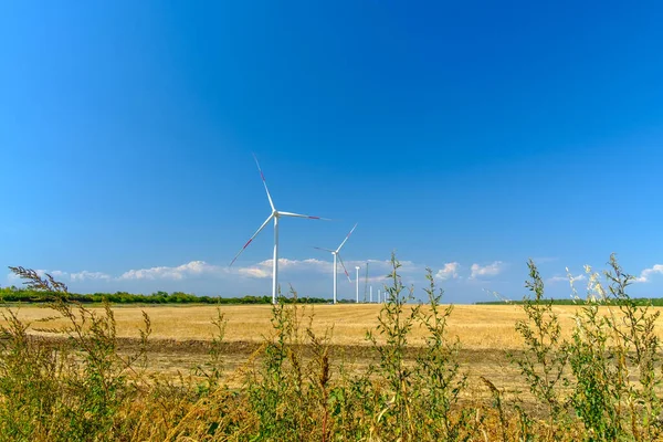 Turbinas eólicas en un soleado día de verano contra un cielo azul sin nubes. Una forma alternativa de obtener electricidad del viento. Tecnologías innovadoras para el futuro con cero emisiones. Copiar espacio — Foto de Stock