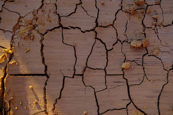 一幅由干土裂缝形成的天然马赛克的俯视图.死亡的天性干旱。背景和质地。落日的橙色光芒.复制空间 — 图库照片