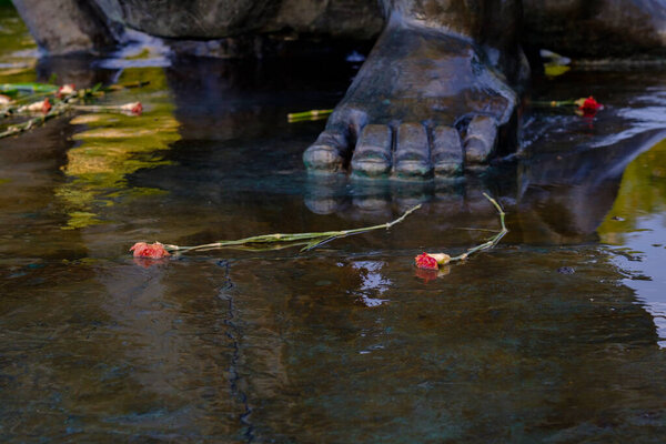 Красные гвоздики лежат на мокрой каменной поверхности. Мертвые цветы отражаются в воде. Концепция, что все проходит