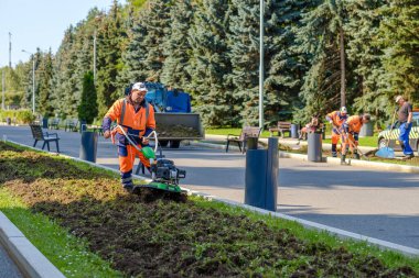 Moskova. - Rusya. 12 Eylül 2020. Turuncu üniformalı bir kamu görevlisi, şehir parkındaki bir çiçek tarlasında traktör kullanıyor. Güneşli bir gün. Kentsel alanın estetiği