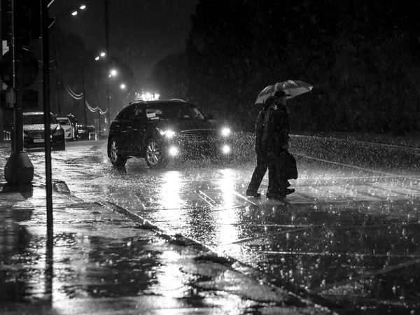 Vista de un cruce peatonal en la ciudad por la noche durante un fuerte aguacero. Siluetas de personas con paraguas. —  Fotos de Stock