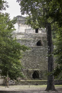 Dzibanche Yucatan Yarımadası Meksika Maya Piramit.
