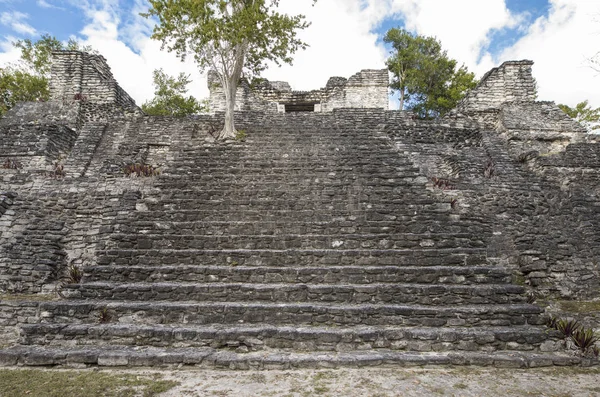 View of the top of the ancient Mayan pyramid of Kinichna near Costa Maya, Mexico.