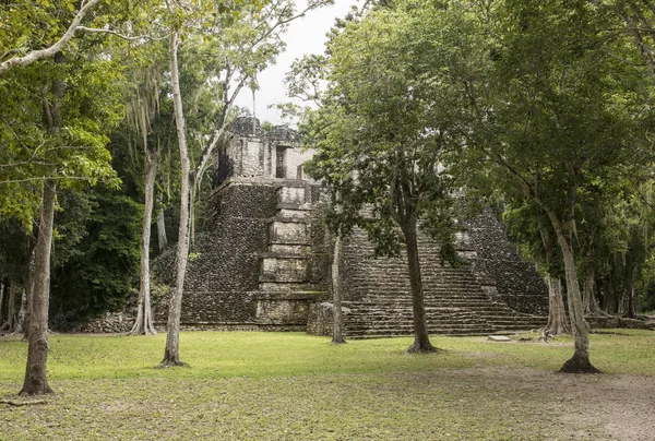 Mayan Temple Rain Forest Yucatan Peninsula Mexico — Stock Photo, Image
