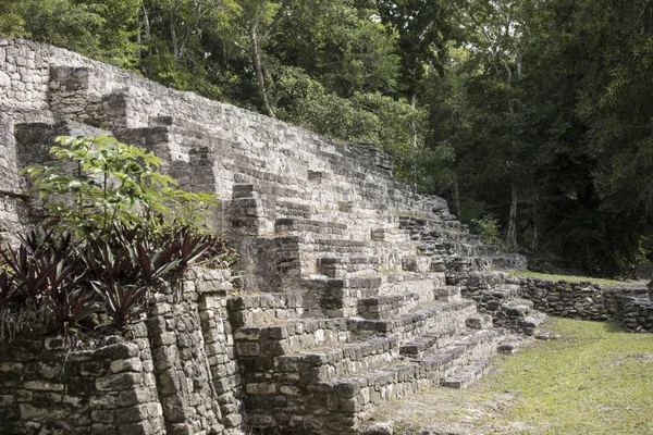 Detail Shot One Mayan Temples Dzibanche Mexico — Stock Photo, Image