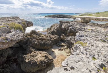 Cozumel, Meksika El Mirador, kayalık sahilinin doğal peyzaj.