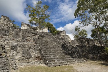 Kinichna Maya tapınak yakındaki Costa Maya, Meksika.