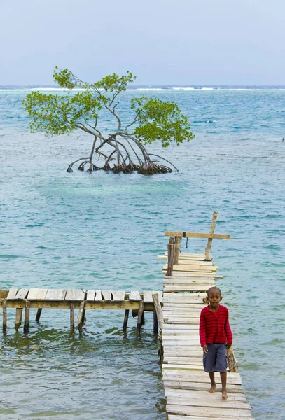 Roatan Honduras Enero 2019 Niño Identificado Camina Muelle Pesquero Mar — Foto de Stock