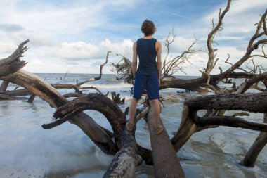 Hunting Island State Park, Güney Carolina, ABD - 7 Eylül 2015: Ölü ağaçların arasında sel sularında duran genç adamın arka görünümü