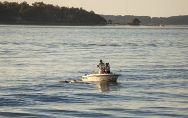 Hilton Head, South Carolina-Kasım 28, 2015: Tanımlanamayan kayıkçılar Hilton Head, South Carolina sahilinde şişe burunlu yunusların fotoğraflarını çekiyor.