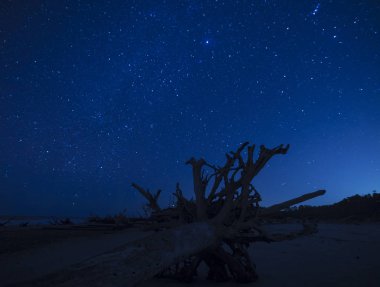 gece fotoğrafçılığı, seçici odak