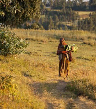 Oromia, Etiyopya-Kasım 6, 2014:Tanımlanamayan kadın Etiyopya Highlands bir alanda muz yaprakları taşır
