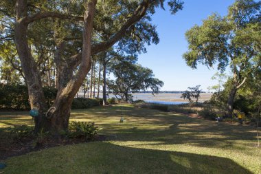 Güzel rıhtım, seçici odak