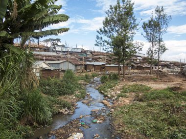 Kenya'da Kibera gecekondu manzarası, ön planda kirli su ile.