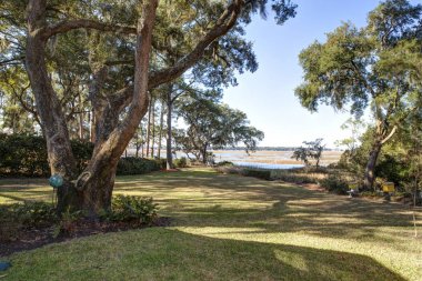 Güzel rıhtım, seçici odak