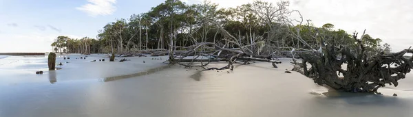 Hunting Island Eyalet Parkı — Stok fotoğraf