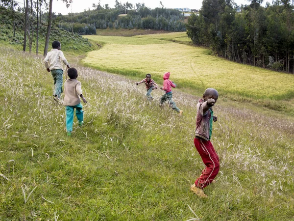 Oromia Etiopie Listopadu 2014 Neidentifikované Děti Hrají Poli Etiopii — Stock fotografie
