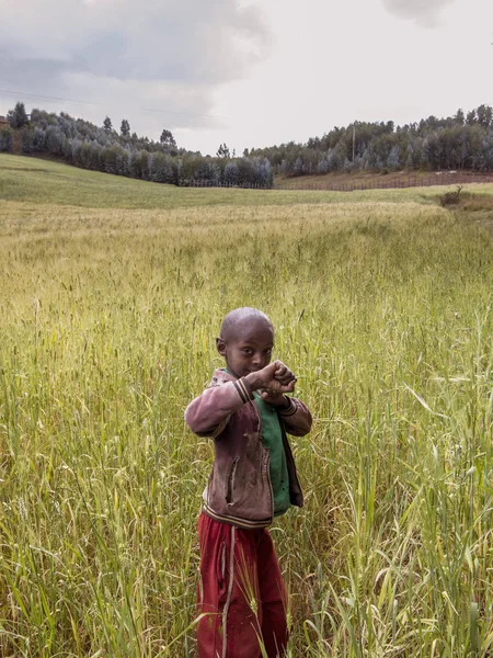 Oromia Etiopie Listopad 2014 Neidentifikovaný Chlapec Hraje Pšeničném Poli Etiopii — Stock fotografie