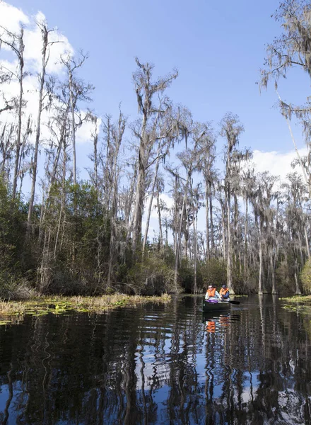 Okefenokee içinde Kanolar