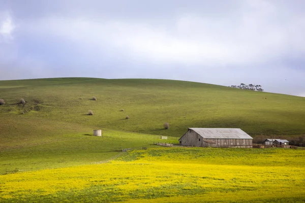 谷仓和五颜六色的草地在纳帕谷索诺玛县 加利福尼亚州 — 图库照片