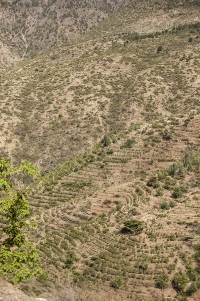 Vista Aérea Del Mosaico Etíope Tierras Cultivo África —  Fotos de Stock