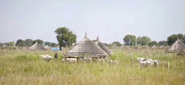 南苏丹的牧民 — 图库照片