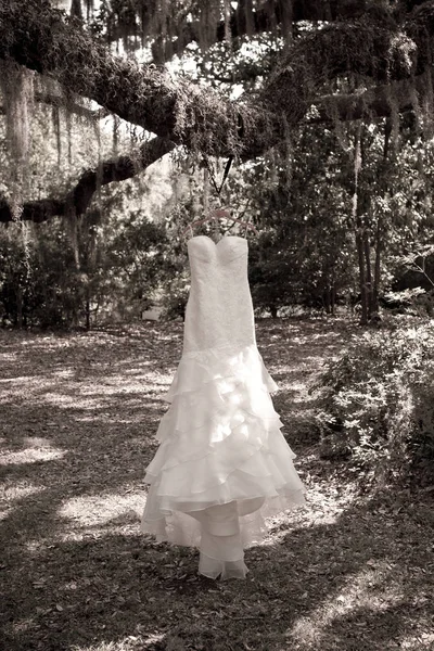 Wedding dress hanging from tree for Southern Wedding. — Stock Photo, Image