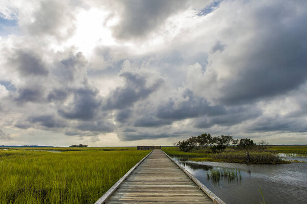 Scenic of the South Carolina lowcountry